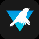 Grayjay desktop