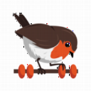 Rotki